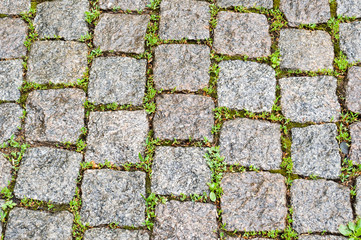 cobble stone pavers