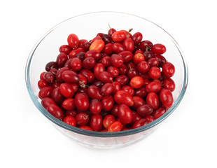 Cornelian cherries
