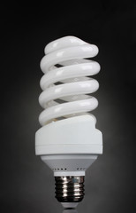 energy saving light bulb on gray background.