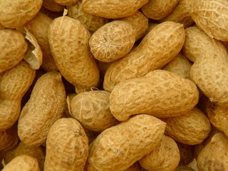 Peanuts