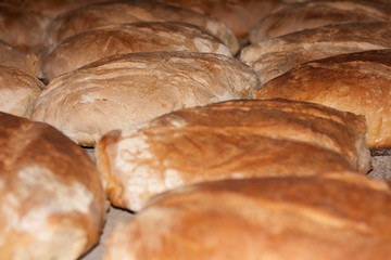 Hogazas de pan tostado en horno de leña