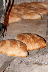 Hogazas de pan tostado recien salido del horno