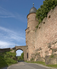 Wertheim Castle detail at summer time
