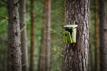 Old broken birdhouse in forest