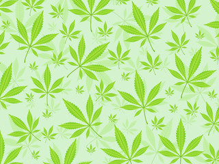 marijuana leafs background