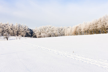 Fototapeta na wymiar winter landscape, Czech Republic