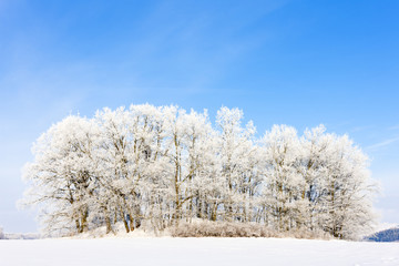 winter landscape, Czech Republic