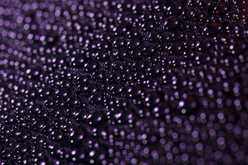 Beautiful drops of water