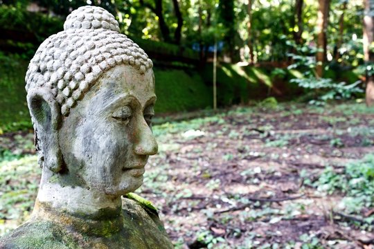 Buddha head sculpture