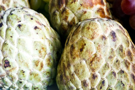 Custard apple