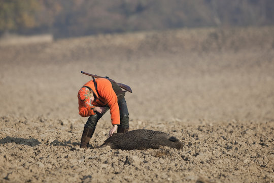 erfolgreiche Jagd auf Schwarzwild
