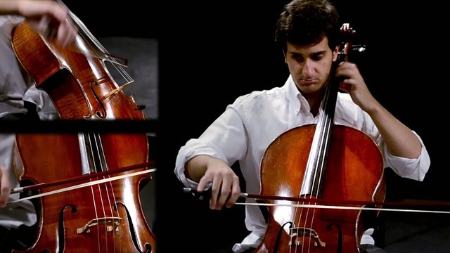 musicista, violoncellista