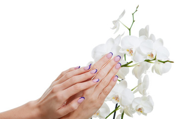 Beautiful manicure and white orchid flower