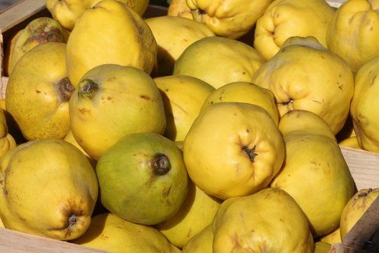 Cagette de coings au march&eacute;