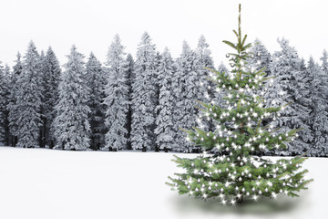 Verschneiter Winterwald mit Weihnachtsbaum