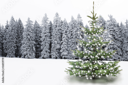 quot verschneiter winterwald mit weihnachtsbaum quot stockfotos quot verschneiter winterwald mit weihnachtsbaum quot stockfotos