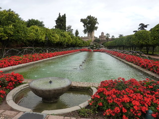 vasca nei giardini dell?Alcazar dei Re cattolici a Cordova