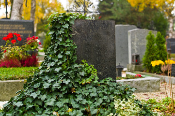 Grabstein auf einem Friedhof
