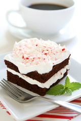 Chocolate Cake with Peppermint Icing