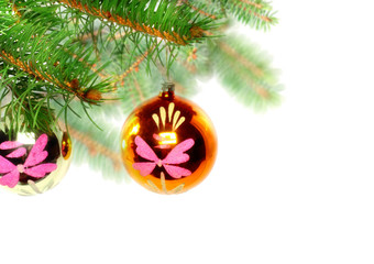 Fresh green fir branches. Isolated