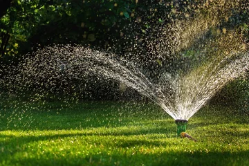 Watering garden sprinkler © Repina Valeriya