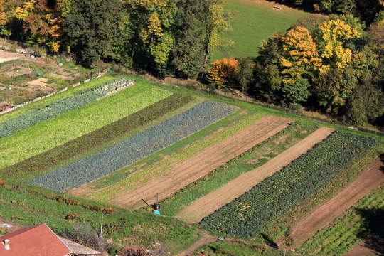 Cultures maraich&egrave;res