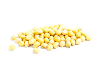 soybean isolated on white