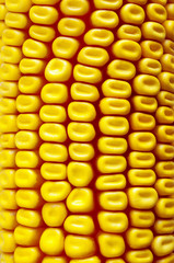 Background Corn