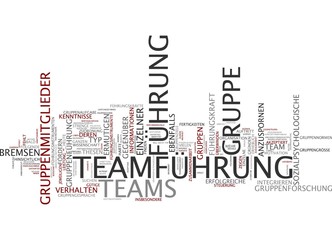 Teamführung