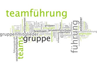 Teamführung