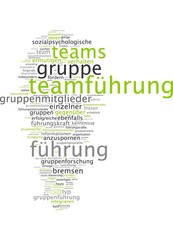 Teamführung