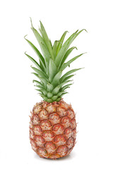Fototapeta premium ananas