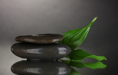 spa stones and leaves on black background