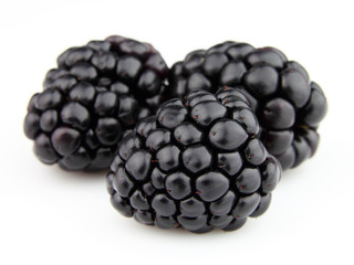 Blackberry in closeup