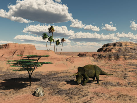 Dinosaurio en el Desierto