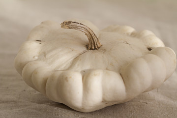 pâtisson