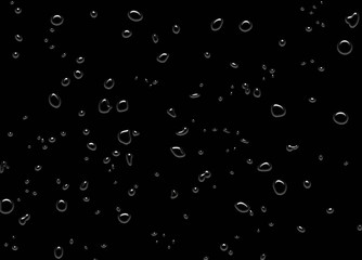 Water Drops on Black