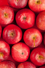 background with fresh red apples