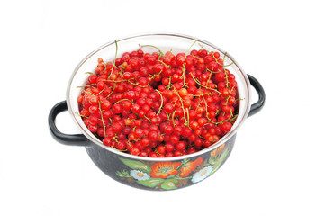 Fresh ripe red currant