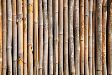 Bamboo background