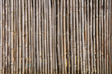 Bamboo background