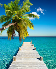 Panele Szklane  wakacje na plaży kokosowe drzewo