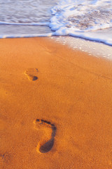 Footprints On The Beach