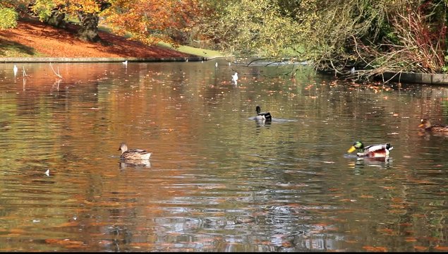 nature couleurs