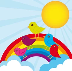  regenboog en vogels © grgroup