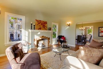 Beautiful living room with old fireplace and natural tone