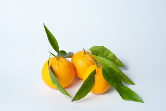 três tangerinas
