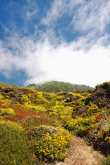 Big Sur_2