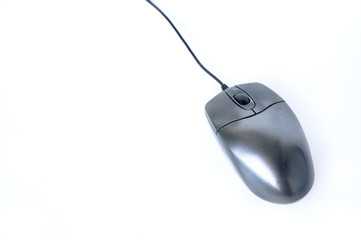 computer mouse