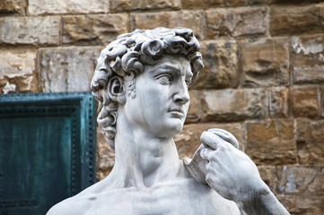 david